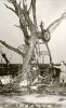 Udall, KS Tornado (1955)
